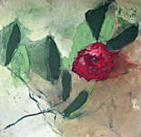 Regine Schirmer - Stilleben